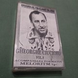 CASETA AUDIO DE PETRECERE FORMATIA MELORITM SI GHEORGHE CIUCIOIU VOL 8 CEVA RAR !!!! DE TARABA