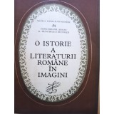 O istorie a literaturii romane in imagini