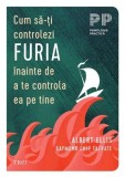 Cum sa-ti controlezi furia inainte a te controla ea pe tine - Albert Ellis, Raymond Chip Tafrate