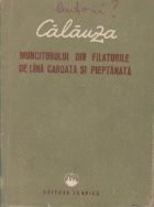 Calauza muncitorului din filaturile de lina cardata si pieptanata foto