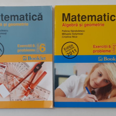 Felicia Sandulescu - Matematica Algebra Si Geometrie Exercitii Si Probleme 6 + 7