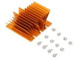 Radiator cu aripioare BGA auriu 61x58mm