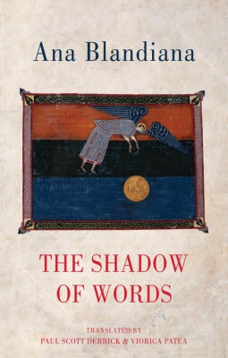 The Shadow of Words foto