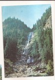 RF167 - Carte Postala - Muntii Rodnei. Cascada Izvorul Cailor, necirculata 1991