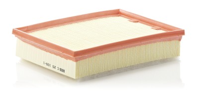 MANN-FILTER C 25 109/1 Filtru aer foto