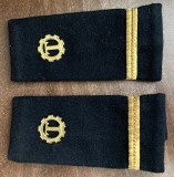 C2 13 - Grade militare - sublocotenent tehnic - semne arma metalice aurii - piesa de colectie!