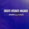 CIRCUITE INTEGRATE ANALOGICE / 1997 ANALIZA , PROIECTARE