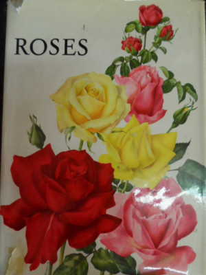 Roses - Eric Bois, Anne-marie Trechslin ,548858 foto