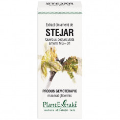 Extract Amenti Stejar 50ml PlantExtrakt