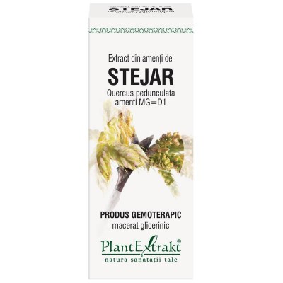 Extract Amenti Stejar 50ml PlantExtrakt foto