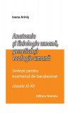 Anatomie și fiziologie umană. Sinteze pentru bacalaureat - Paperback brosat - Ioana Ariniş - Nomina