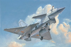 1:48 PLAAF J-10B Vigorous Dragon 1:48 foto