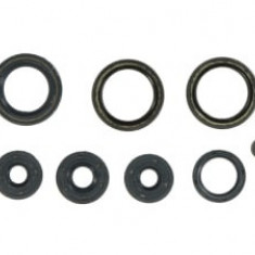 Set garnituri motor compatibil: APRILIA AF1, EUROPA, PEGASO, RED ROSE, RS, TUAREG 125 1985-1996