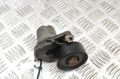 &amp;Icirc;ntinzător de curea VW GOLF VII 5G1, BQ1, BE1, BE2 2015 OEM: 06L903133D | 31046335 foto