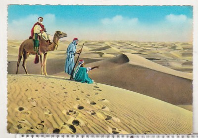 bnk cp Egipt - Beduini in desert - necirculata foto