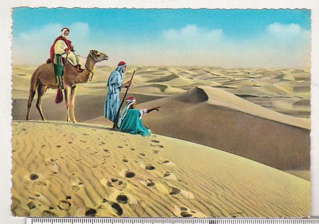 bnk cp Egipt - Beduini in desert - necirculata