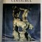 John Updike - Centaurul