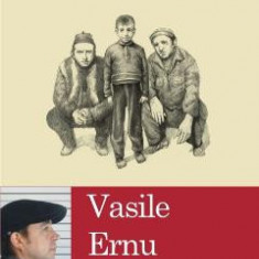 Banditii - Vasile Ernu
