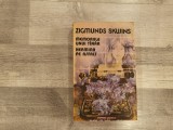 Memoriile unui tanar.Hermina pe asfalt de Zigmunds Skujins