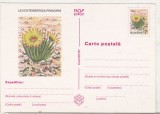 bnk cp Cactusi - necirculata - marca fixa - 021/97