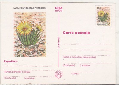 bnk cp Cactusi - necirculata - marca fixa - 021/97 foto