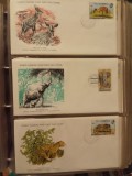 FAUNA WWF - 3 PLICURI PRIMA ZI