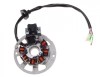 Stator Aprindere 2T, 6 Bobine, 5 Fire, MX_NEW ZB2001, Moto, Scuter