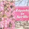 ZAPADA IN APRILIE-ROSAMUNDE PILCHER-270898