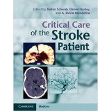 Critical Care of the Stroke Patient - Stefan Schwab, Daniel Hanley, A. David Mendelow