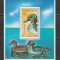 Mongolia 1991 - #565 Pasari S/S 1v MNH