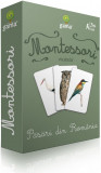 Carti de joc Montessori - Pasari din Romania |, Gama