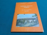 PEPINIERA POMICOLĂ *ISTRIȚA 100 ANI DE ACTIVITATE 1893-1993 / NICOLAE ȘTEFAN *19