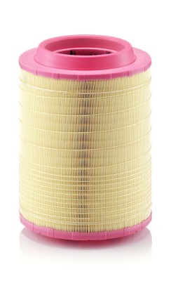 MANN-FILTER C 25 660/2 Filtru aer foto