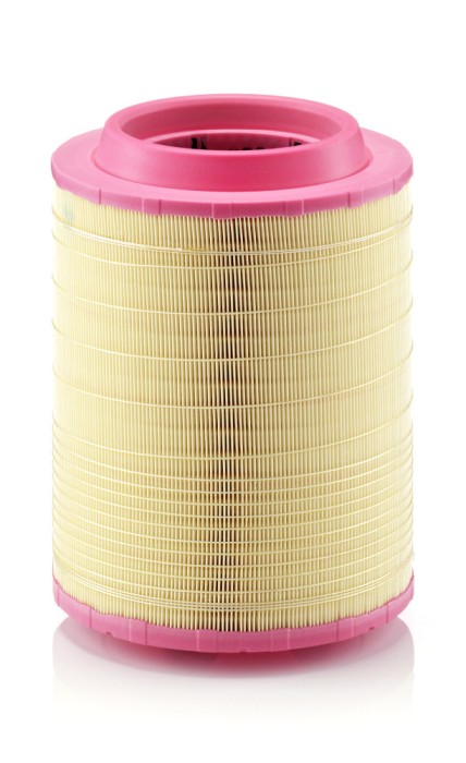 MANN-FILTER C 25 660/2 Filtru aer