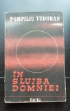 &Icirc;n slujba domniei, vol. I - Pompiliu Tudoran