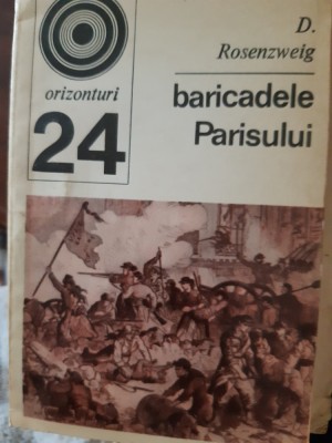 Baricadele Parisului D.Rosenzweig 1971 foto