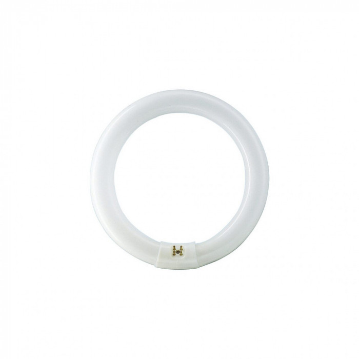 Tub Fluorescent Circular TL-E 22W 865