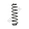 Arc suspensie Mazda 2 (Dy) 02.03-06.07, Spate, SUPLEX