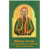 - Sfanta Xenia cea smerita si nebuna pentru Hristos - 131259