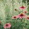 The Book of Herbal Wisdom: Using Plants as Medicines