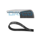 Dayco Curea transmisie cu caneluri