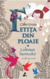 Fetita din ploaie - Calin Gruia