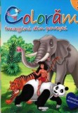 Coloram 2: Imagini din povesti (Contine abtibilduri) - Girasol