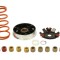 Variator tuning Kymco S9/Vit50/Ag50 Honda Dio