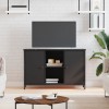 VidaXL Comodă TV, negru, 100x35x65 cm, lemn compozit