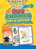 Jocuri pentru copii inteligenti +6 ani. Carte de activitati, Aramis