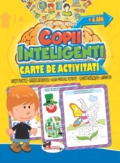 Jocuri pentru copii inteligenti +6 ani. Carte de activitati - Aramis
