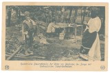 109 - ETHNICS Family, Romania - old postcard - unused