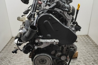 VW TRANSPORTER VI T6 Furgon SGA, SGH 2021 - Motor - OEM: DNA foto