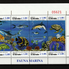 El Salvador, 1996 | Ţestoasă, peşti, corali - Animale marine | Bloc - MNH | aph
